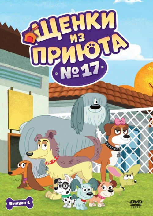 Щенки из приюта № 17 (2010) онлайн бесплатно